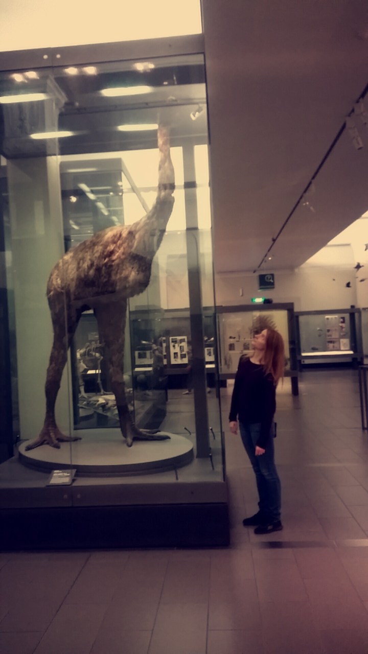 snapchat-8736471018790049422