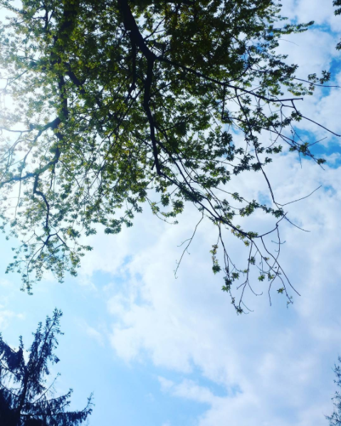 Screen Shot 2017-06-20 at 11.44.22 AM